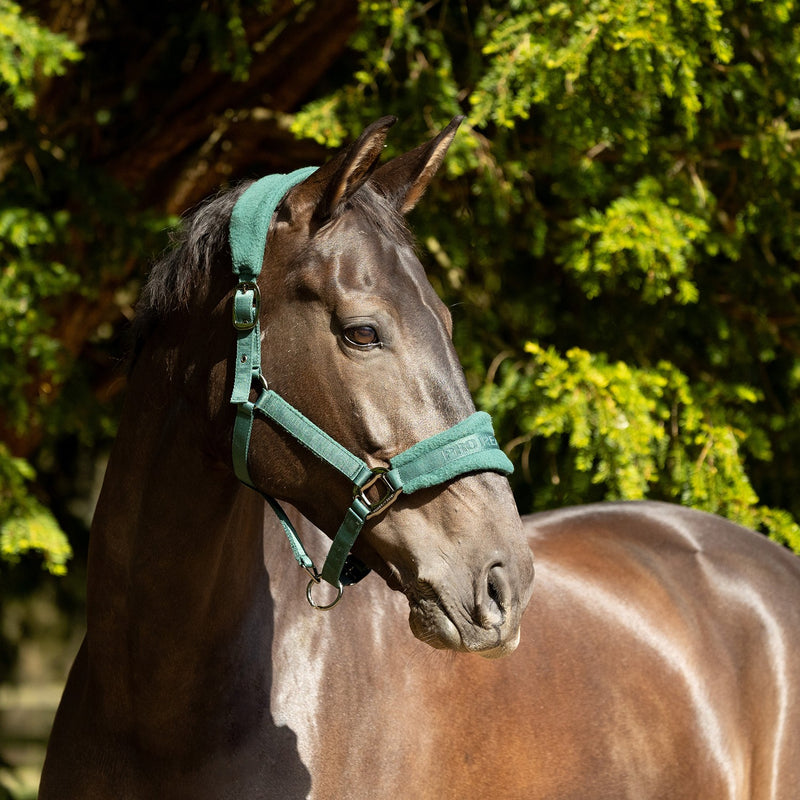 Load image into Gallery viewer, Proreaction Dura Fleece Headcollar Hunter Green
