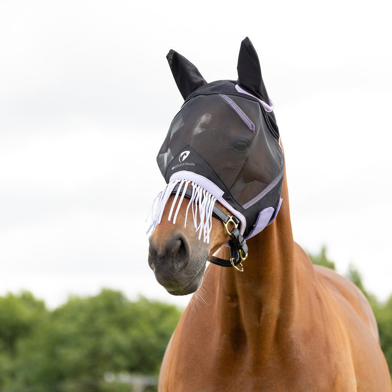 Load image into Gallery viewer, Hy Equestrian Mesh Half Mask With Ears And Fringe Blk/Lac
