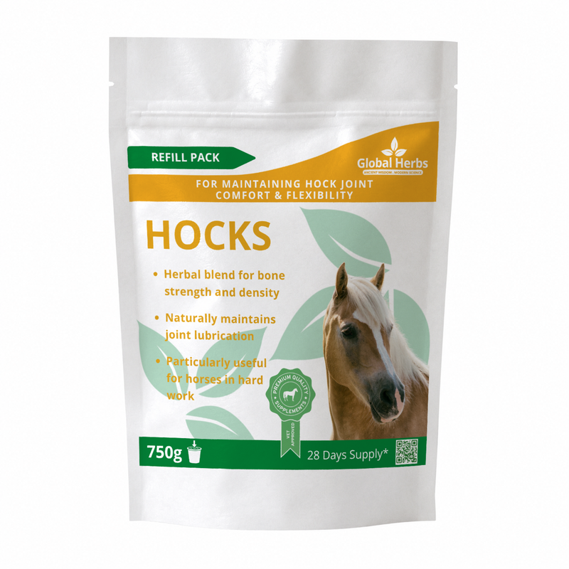 Load image into Gallery viewer, Hocks Refill Pouch 750g - Global Herbs

