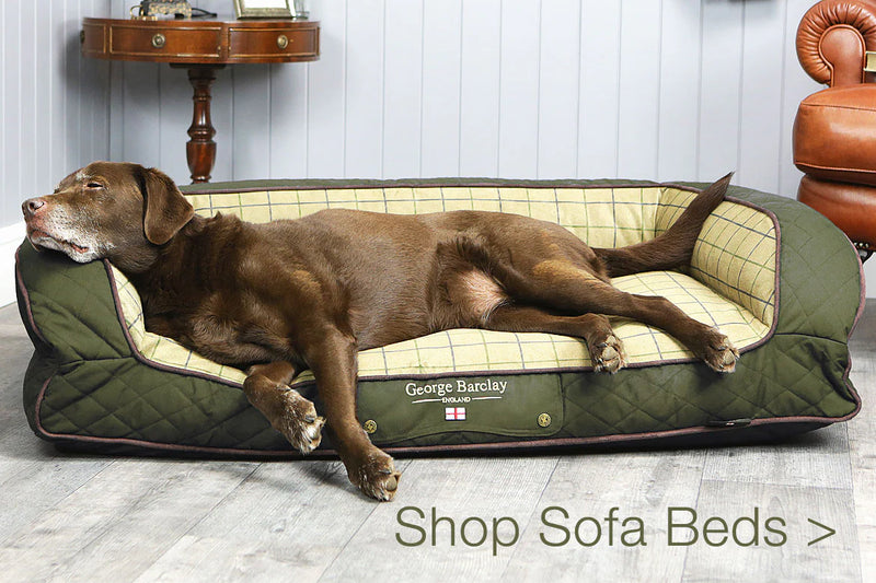 Load image into Gallery viewer, Country Dog Sofa Bed - Olive Green
