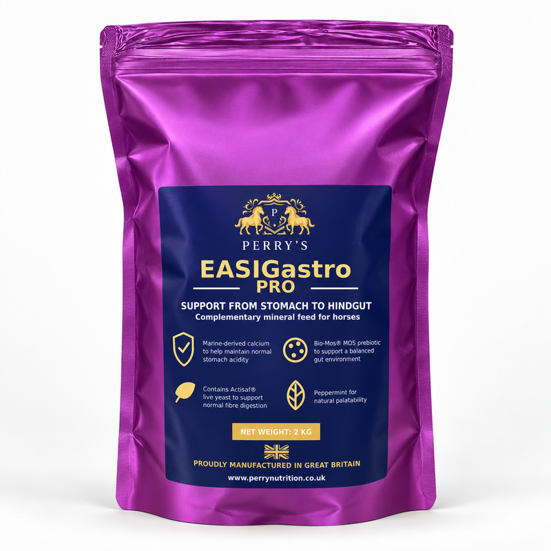 Load image into Gallery viewer, EASIGASTRO Pro
