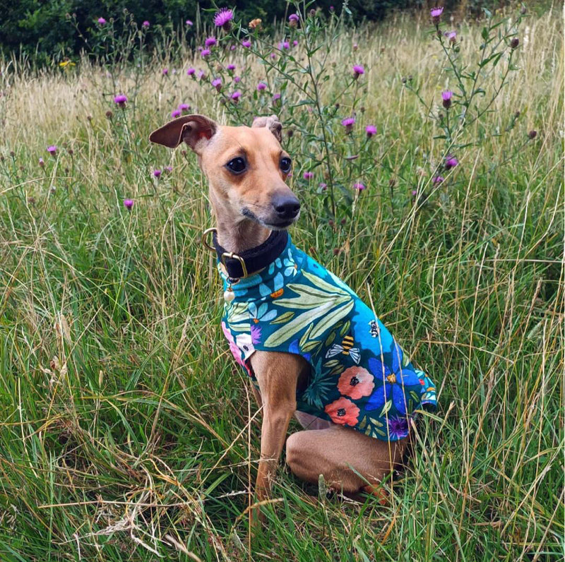 Load image into Gallery viewer, Puppy Jersey Vest - Floral Stripe
