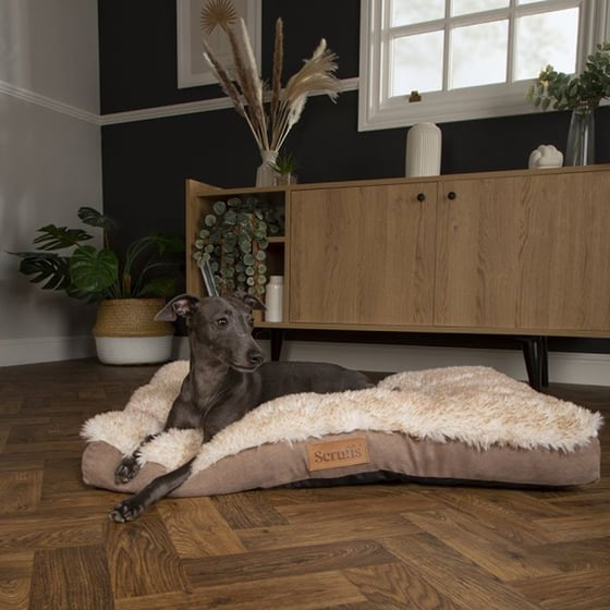 Scruffs Slumber Mattress - Assorted