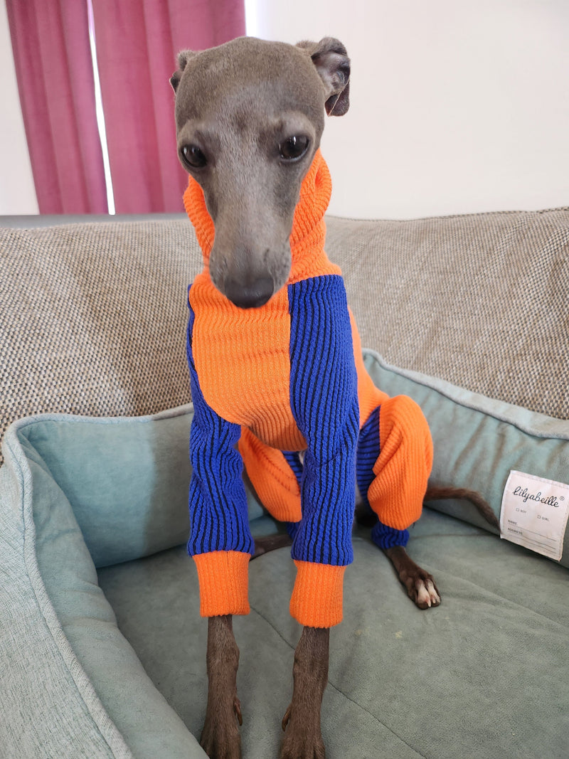 Load image into Gallery viewer, Ribbed Jersey Suit - Orangina
