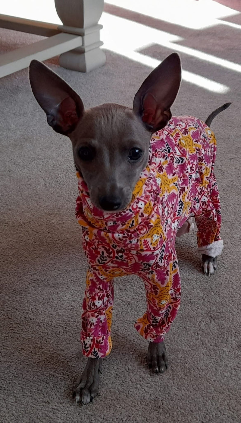 Load image into Gallery viewer, Jersey Suit - Cheeky Monkey
