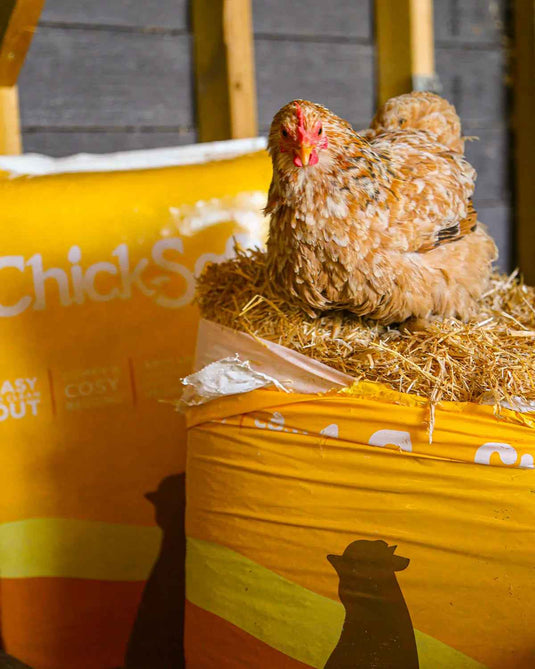 ChickSoft Bedding 16kg