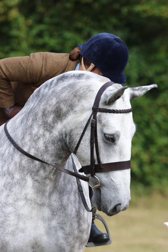 Shop Horse
