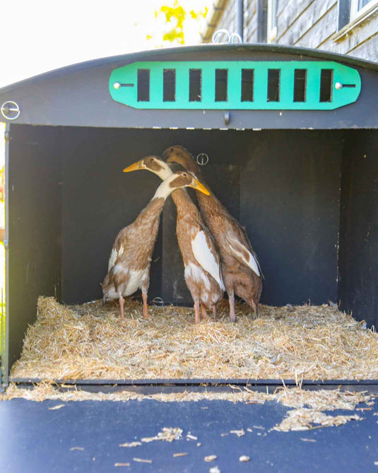 ChickSoft Bedding 16kg