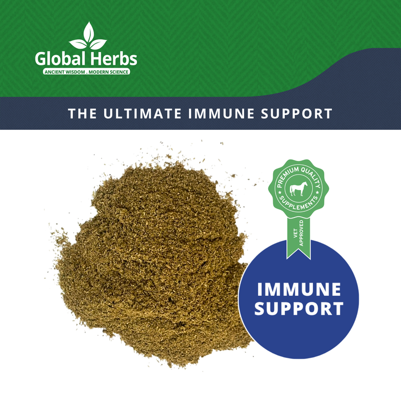 Load image into Gallery viewer, Immuplus Refill Pouch 750g - Global Herbs
