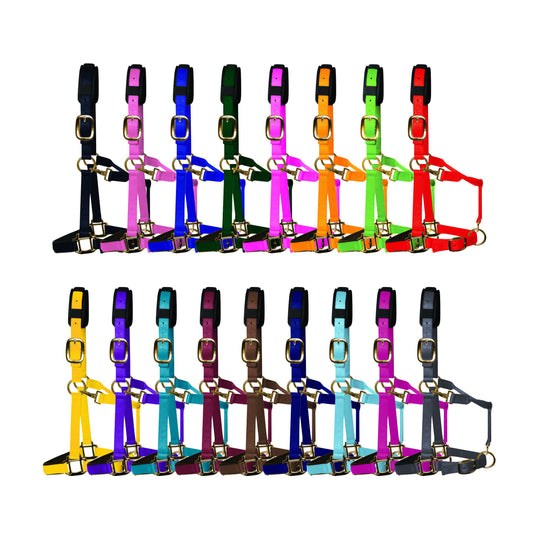 KM Elite Head Collar