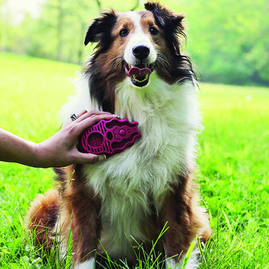 Kong Zoomgroom