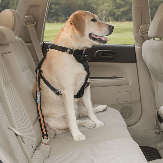 Kurgo Direct To Seatbelt Tether