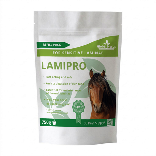 Lamipro Refill Pouch 750g - Global Herbs