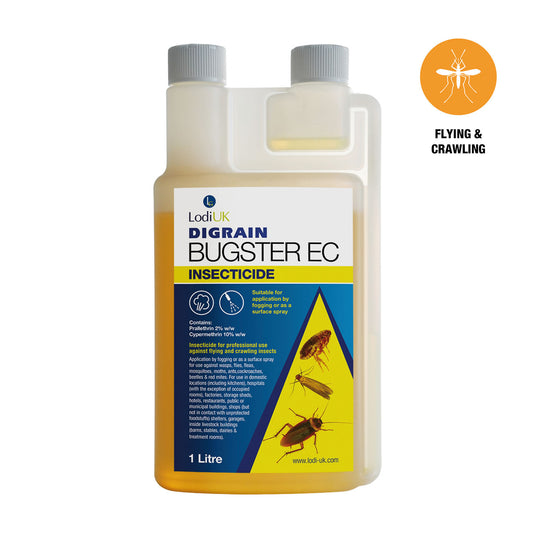 Lodi Digrain Bugster Ec
