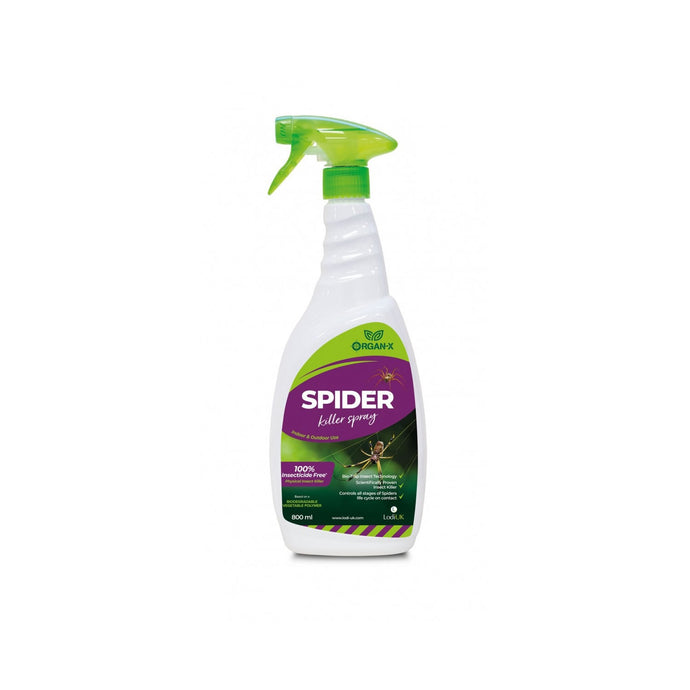 Lodi Organ X Spider Killer Spray