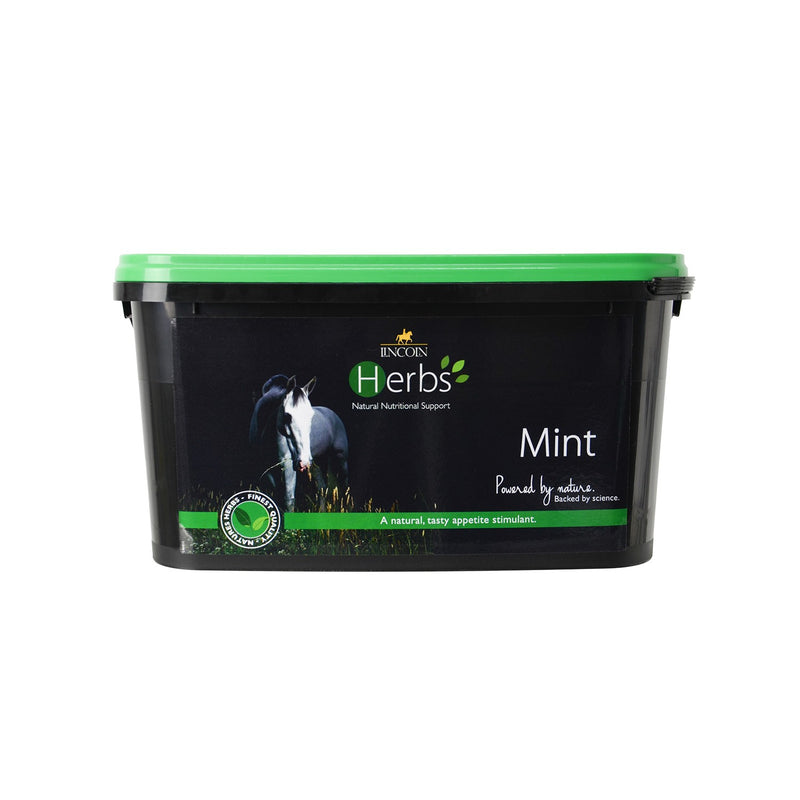 Load image into Gallery viewer, Lincoln Herbs Mint
