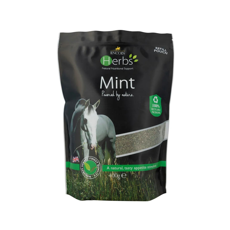 Load image into Gallery viewer, Lincoln Herbs Mint

