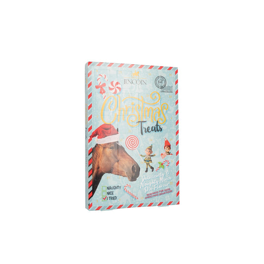 Lincoln Naughty Or Niceadvent Calendar