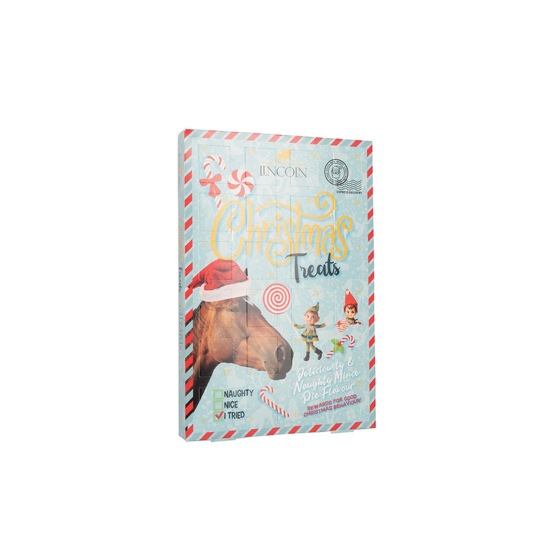 Load image into Gallery viewer, Lincoln Naughty Or Niceadvent Calendar
