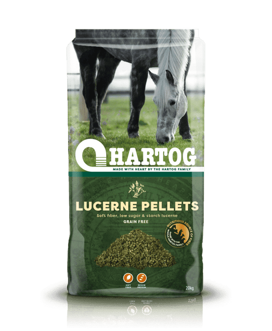 Hartog Lucerne Pellets 20kg horse feed bag