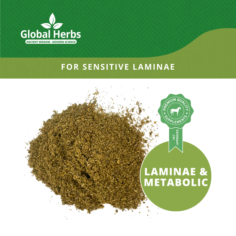 Load image into Gallery viewer, Lamipro Refill Pouch 750g - Global Herbs
