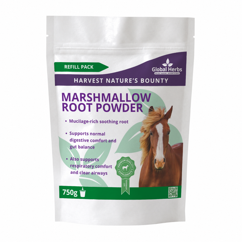 Load image into Gallery viewer, Marshmallow Root Powder Refill Pouch 750g - Global Herbs
