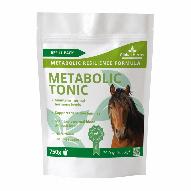 Load image into Gallery viewer, Metabolic Tonic Refill Pouch 750g - Global Herbs
