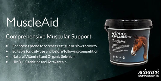 Science Supplements MuscleAid