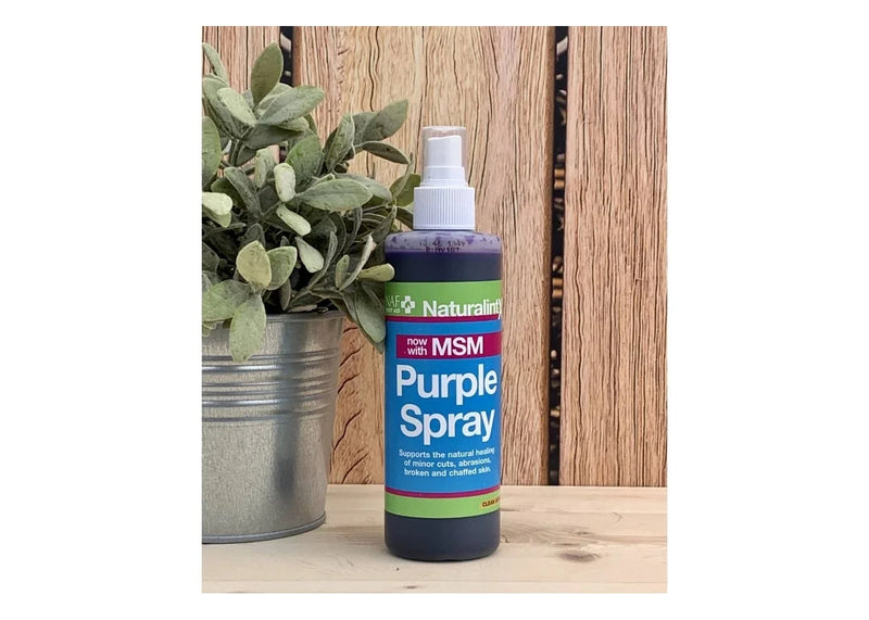 Load image into Gallery viewer, NAF NaturalintX Purple Spray with MSM - 240ml
