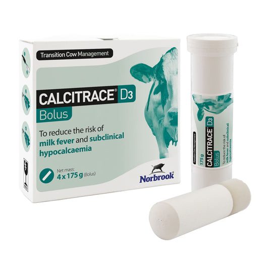 Norbrook Calcitrace D3 Bolus