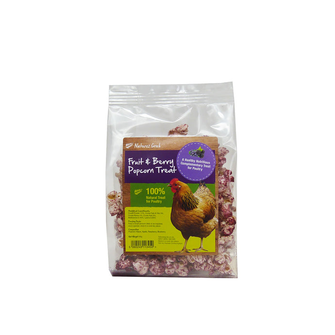 Nature's Grub Fruit & Berry Popcorn Treat