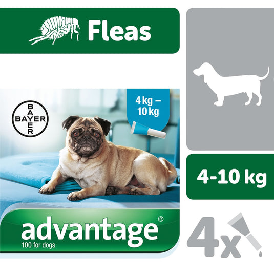 Elanco Advantage 100 Spot On For Dogs 4 10 Kg