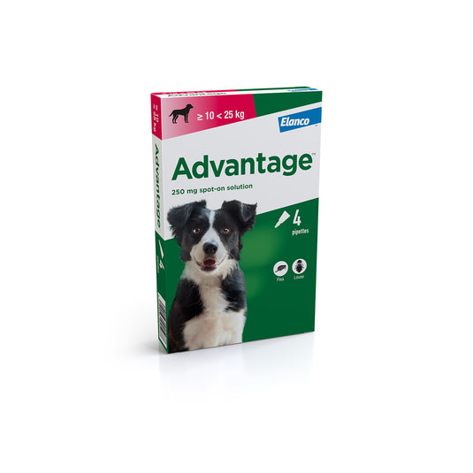 Elanco Advantage 250 Mg Spot On Solution For Dogs 10 25 Kg
