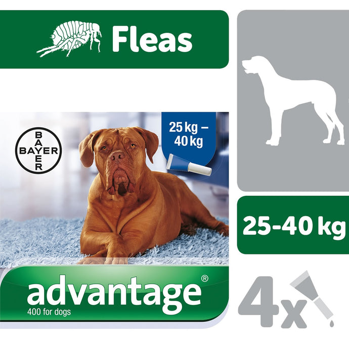 Elanco Advantage 400 Spot On For Dogs Over 25 Kg