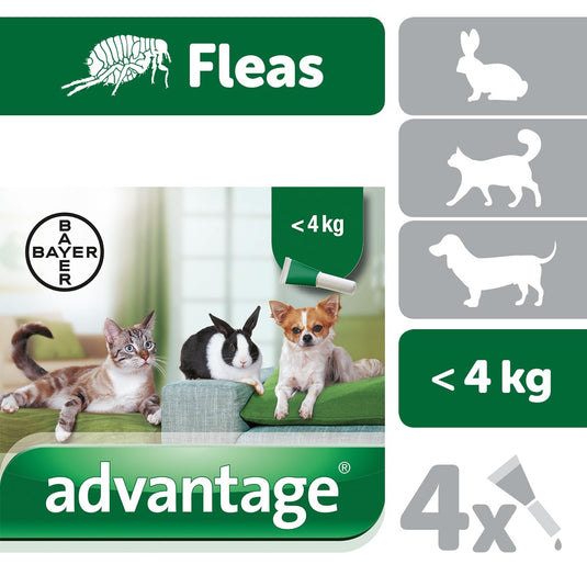Elanco Advantage 40 Spot On Solutions Small Animals Under 4 K