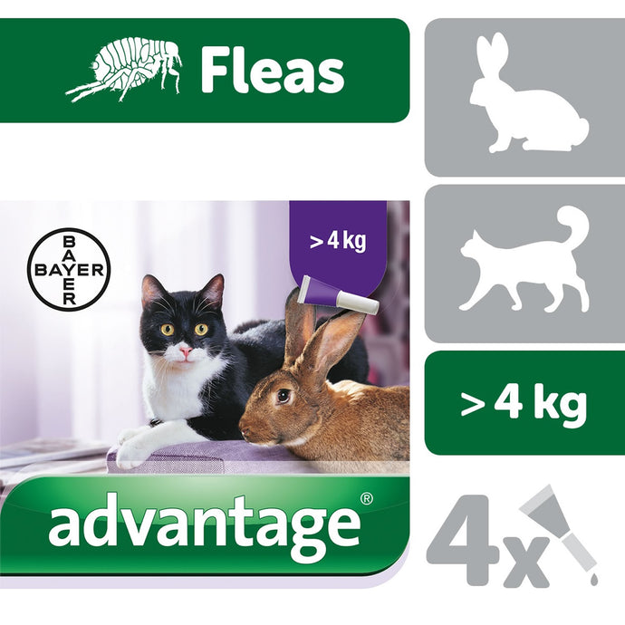 Elanco Advantage 80 Spot On For Large Cats/Rabbits Over 4 Kg