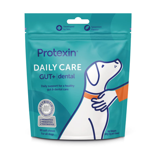 Protexin Daily Care Gut+ Dental