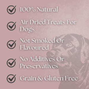 Load image into Gallery viewer, Copdock Mill Natural Dog Treat Gift Box approx 1kg
