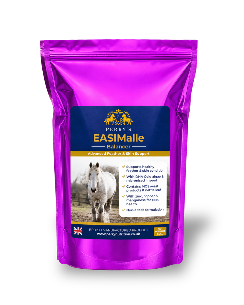 Load image into Gallery viewer, EASIMalle Balancer™ Advanced Skin &amp; Feather Support for Horses
