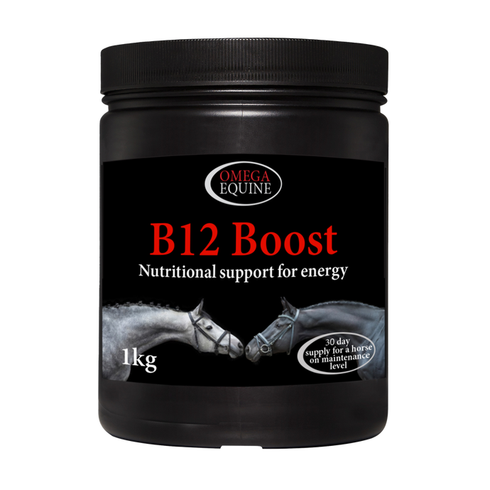 B12 Boost