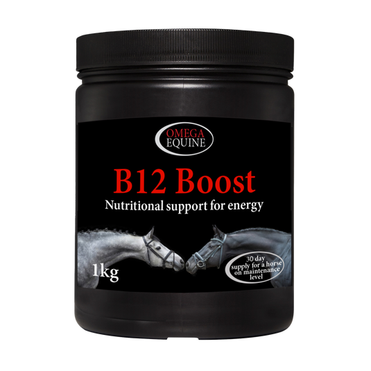 B12 Boost