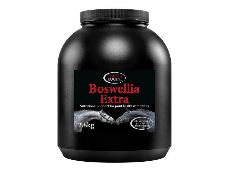 Load image into Gallery viewer, Boswellia Extra
