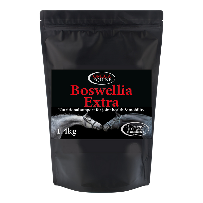Load image into Gallery viewer, Boswellia Extra
