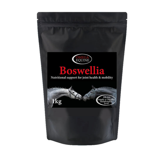 Omega Equine Boswellia