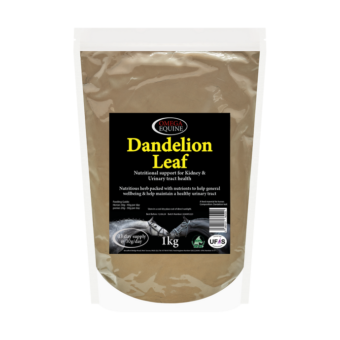 Dandelion