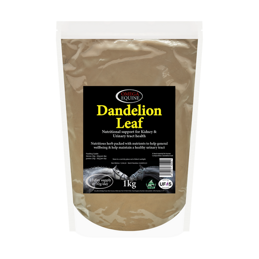 Dandelion