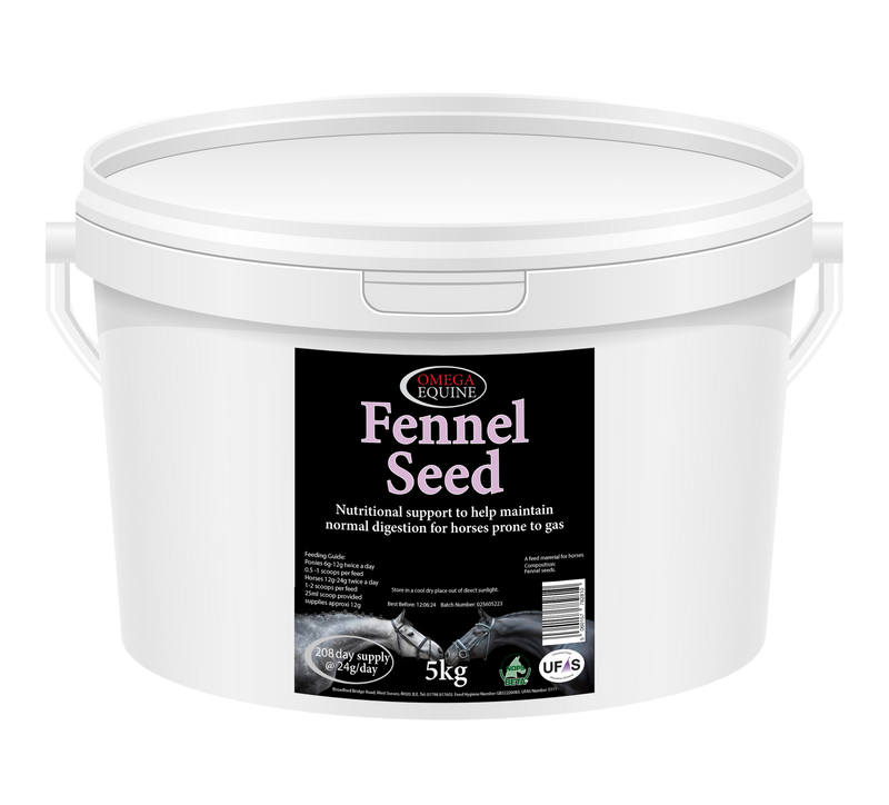 Load image into Gallery viewer, Fennel
