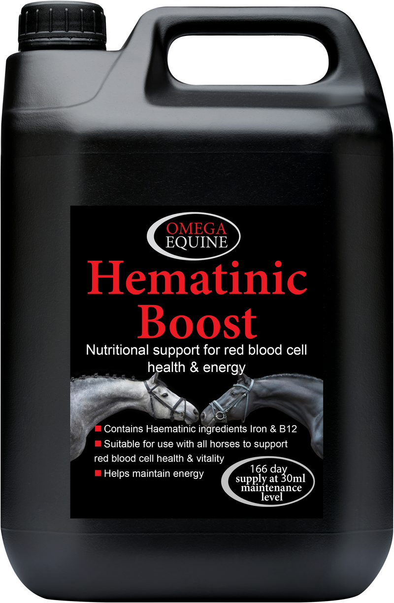 Load image into Gallery viewer, Hematinic
