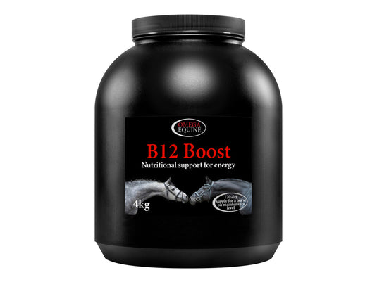 B12 Boost