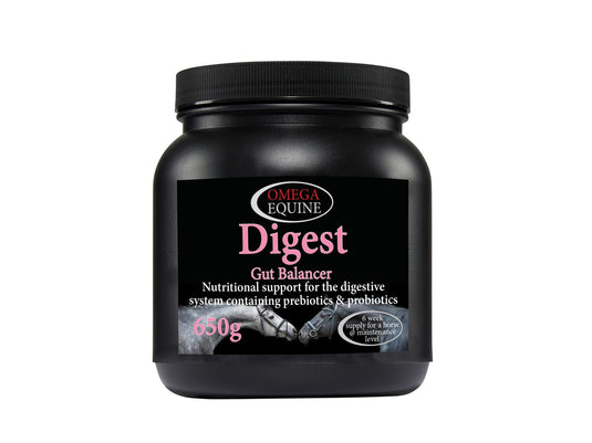 Digest – Gut Balancer